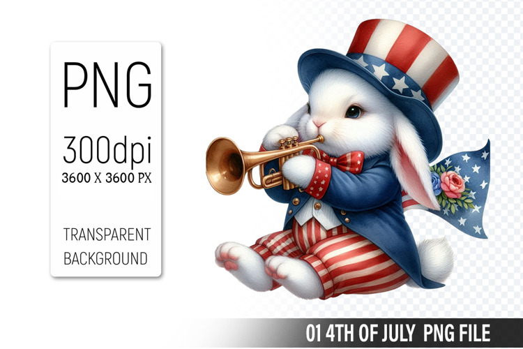 American Flag Png Image 13