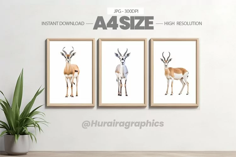 Animal Wall Art - 03 Variations