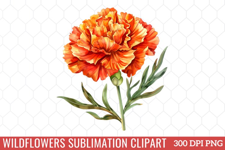 Spring Clipart Image 9