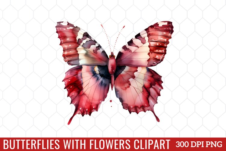 Butterfly Clipart Image 15