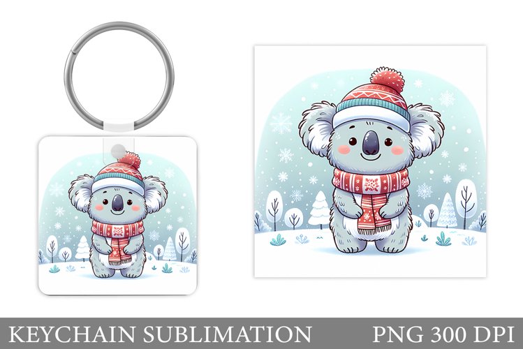 Cute Koala Pictures Image 10