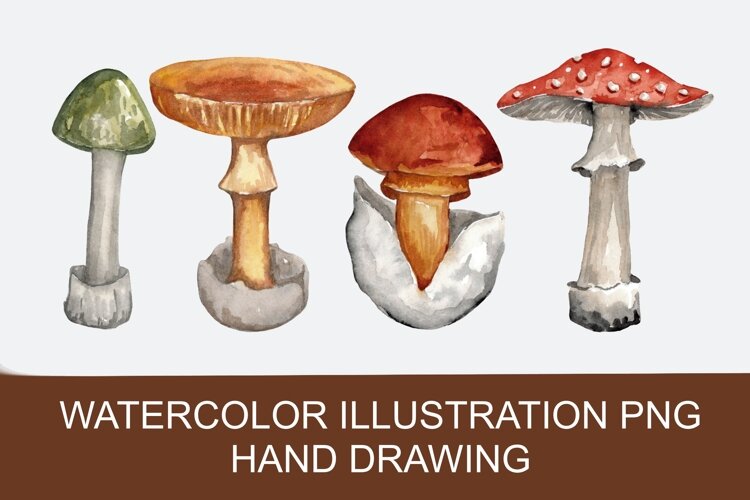Watercolor autumn mushrooms PNG clipart, hand-drawn example image 1