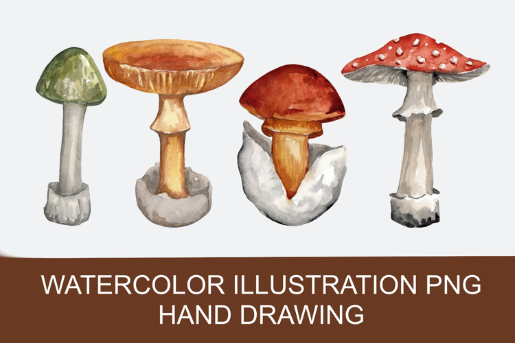 Watercolor autumn mushrooms PNG clipart, hand-drawn