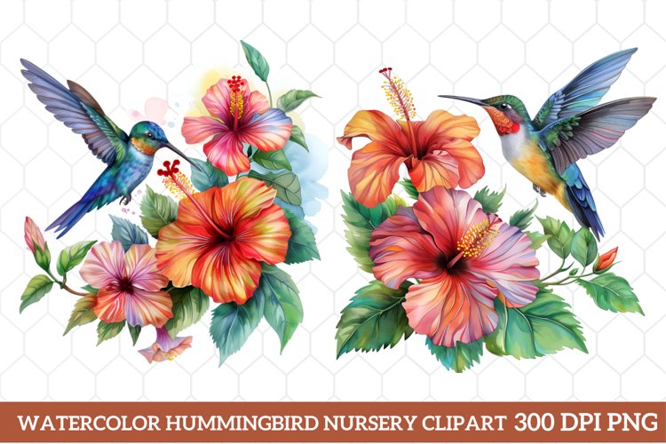Hummingbird Clipart Image 15