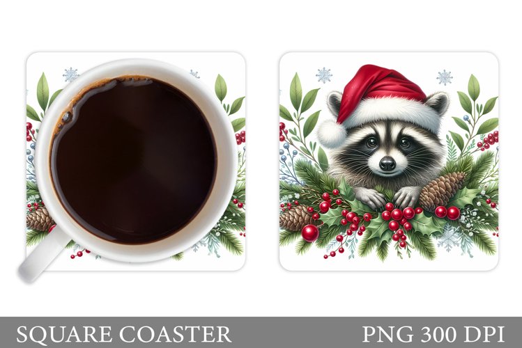 Raccoon Clipart