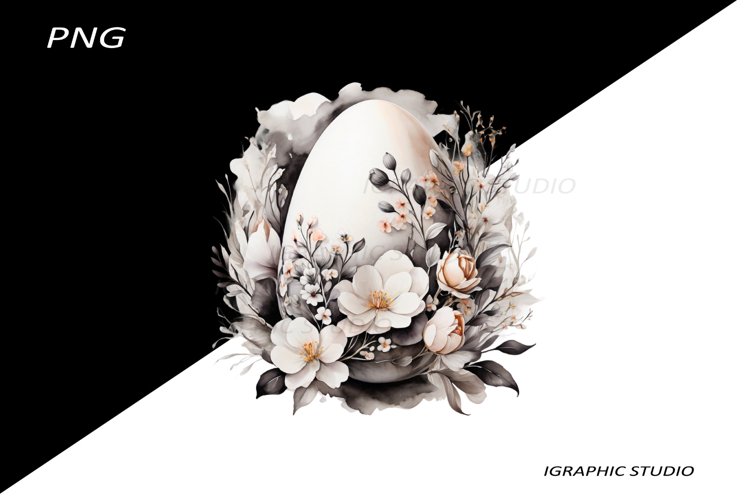 Egg Png Image 14