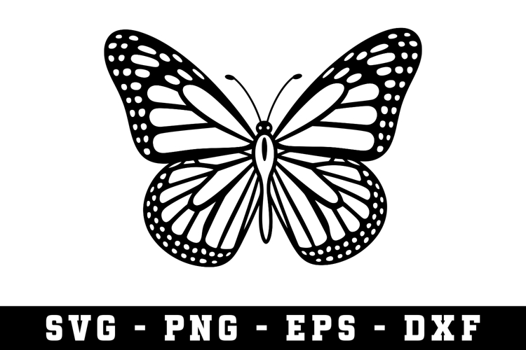 Butterfly SVG | SVG Cut files | Cricut