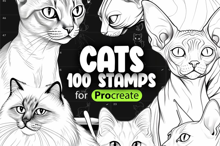 Kitten Clipart Image 23
