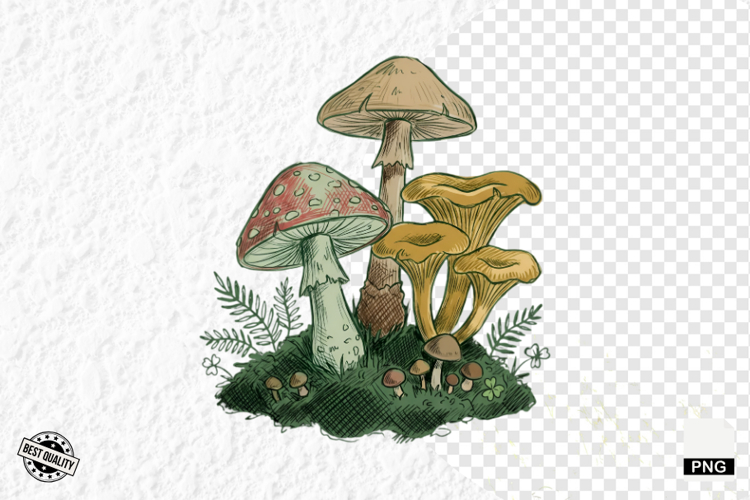 Summer Clipart Image 2