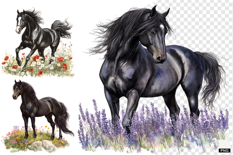 Watercolor Horse PNG