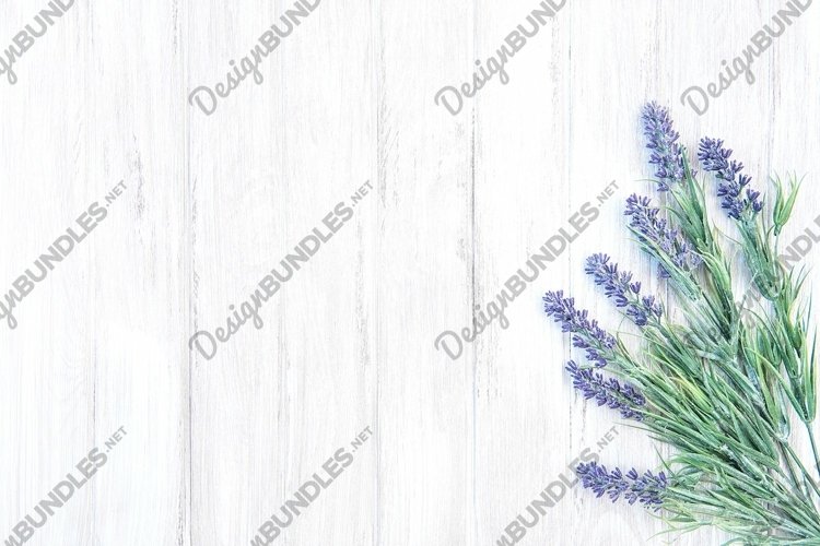 Lavender Background Image 23