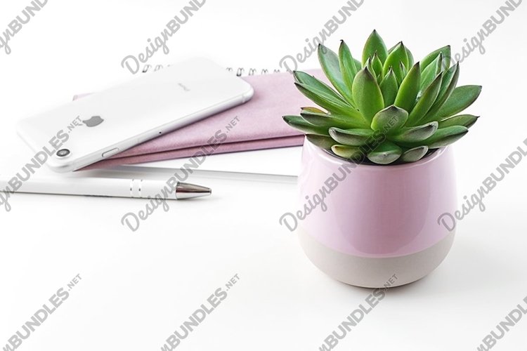 Feminine Styled Stock Photo, Feminine Styled Desktop Mockup