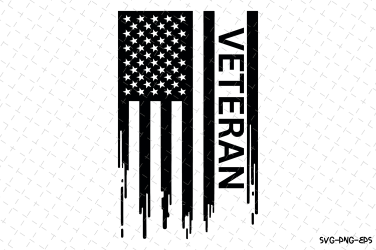 Veteran Silhouette Image 20