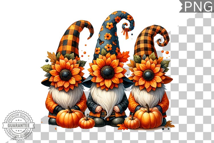 Gnome Clipart Image 14