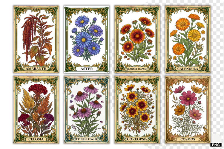 Autumn Flowers Tarot Cards PNG