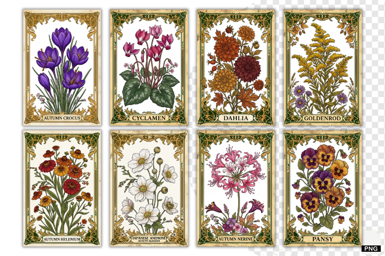 Autumn Flowers Tarot Cards PNG