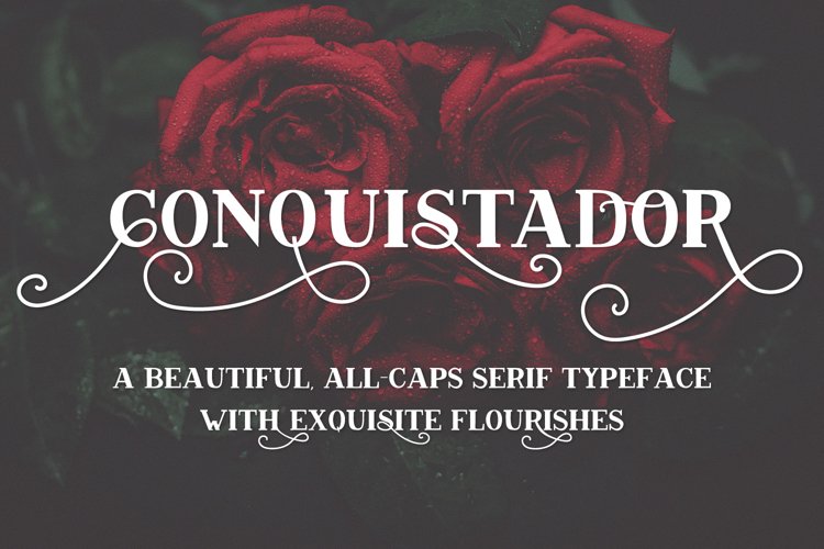 Conquistador Serif Font example image 1