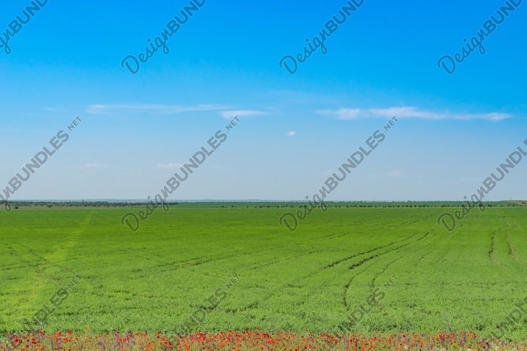 Sky Background Image 13
