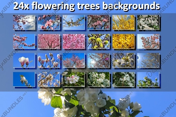 24x Beautiful backgrounds of flowering trees