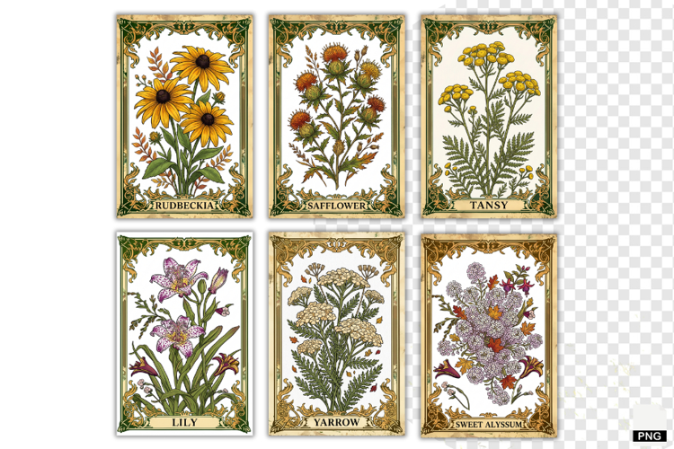 Autumn Flowers Tarot Cards PNG