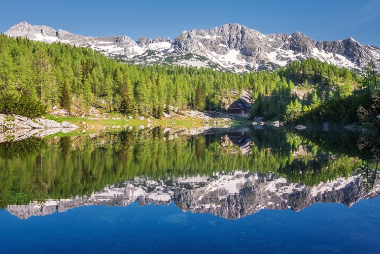 Reflect Clipart Image 15
