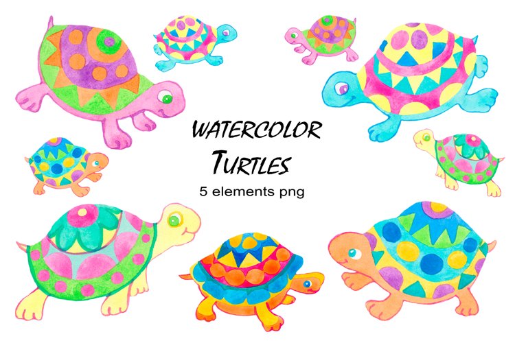 Turtles watercolor clipart collection example image 1