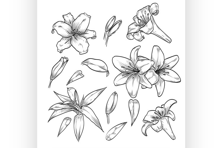 Beauty Clipart Image 14