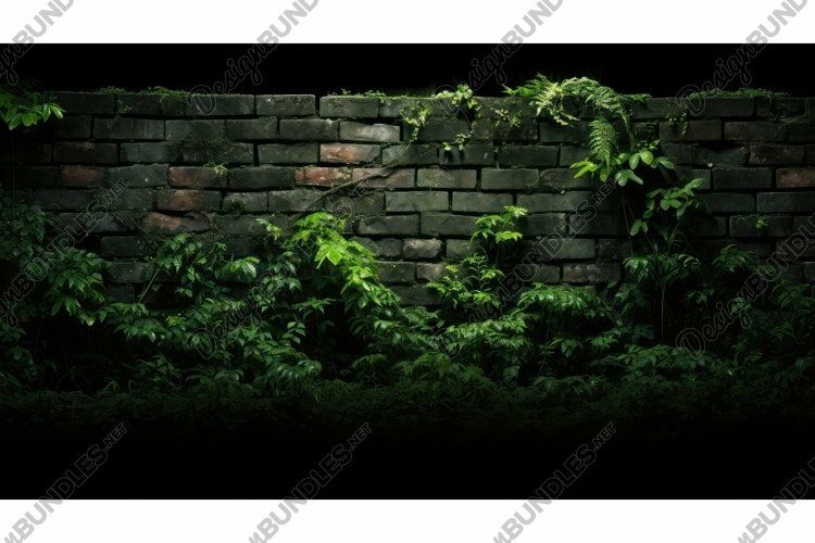 Crack Clipart Image 12
