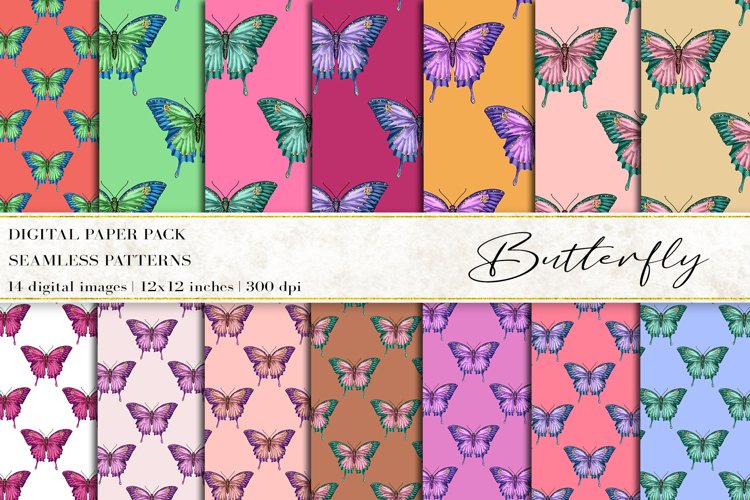 Butterfly Clipart Image 8