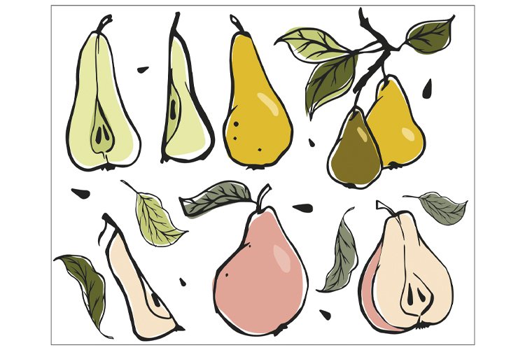 Pear Clipart Image 12