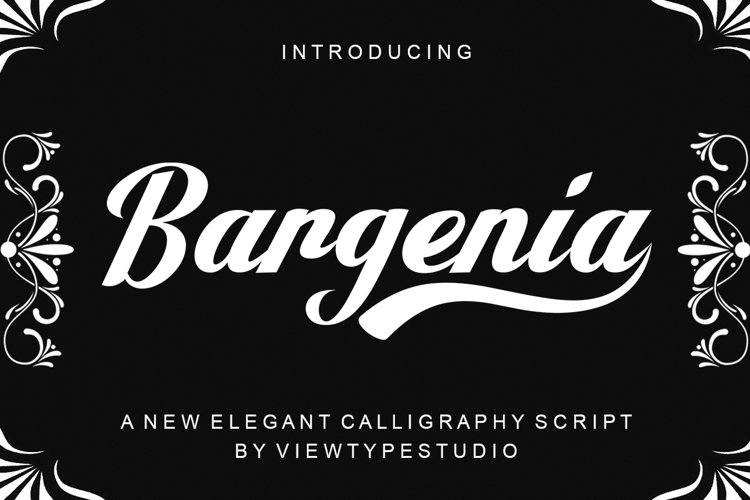 Bargenia script example image 1