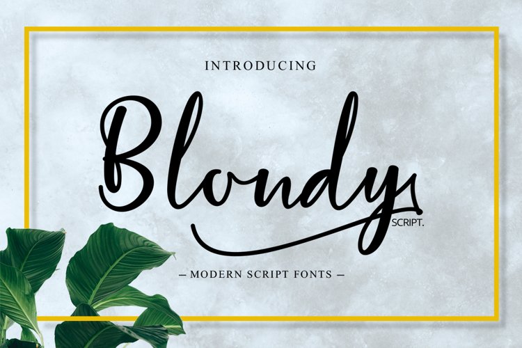 Blondy Script example image 1