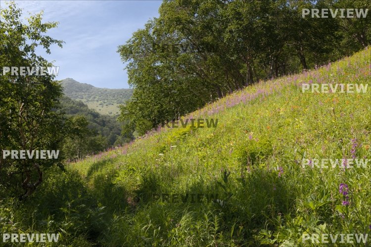 Nature Photo. High resolution wallpaper example image 1