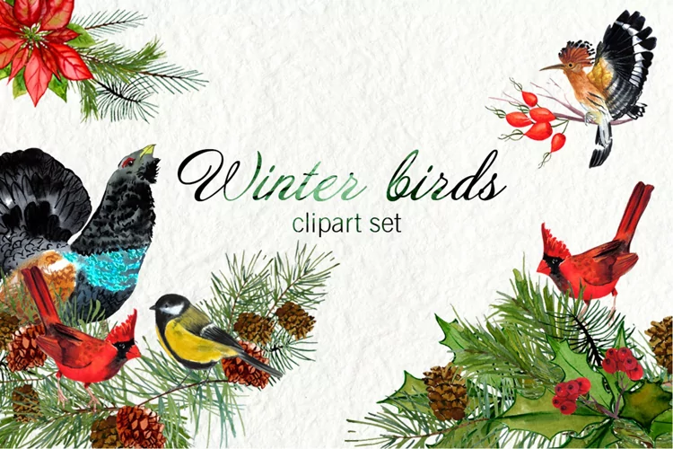 Watercolor winter birds