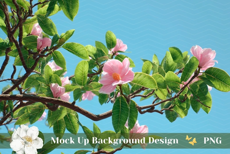 Summer Backgrounds Image 15