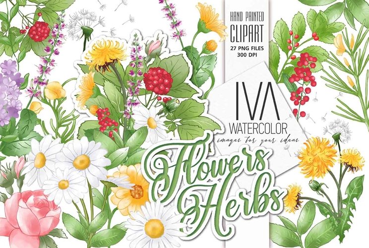 Flowers and herbs Floral Clipart,Rose Camomile Rooibos Mint example image 1