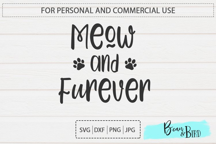 Meow and Furever example image 1