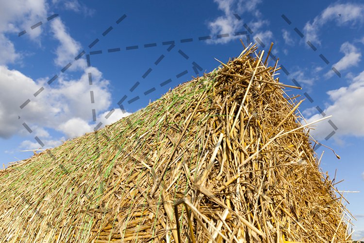 Farm Background Image 9