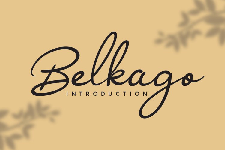 Belkago example image 1