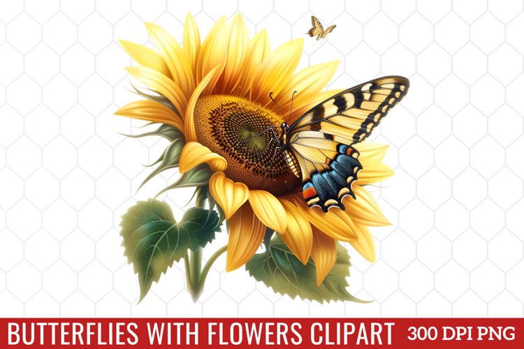 Butterfly Clipart Image 24