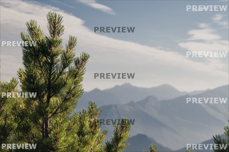 Nature Photo. High resolution wallpaper example image 1