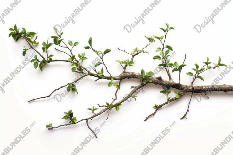 Small Clipart Image 20