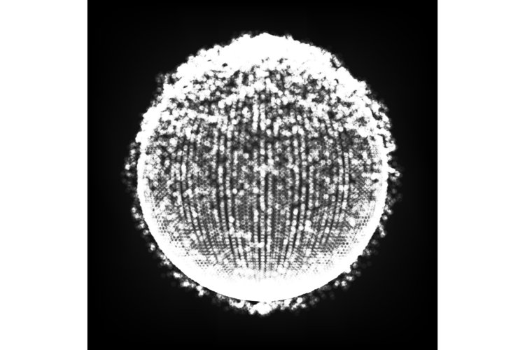 Dots Array And Lines. Vector Illustration. Big Data
