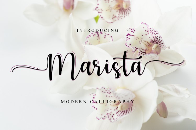 Marista example image 1