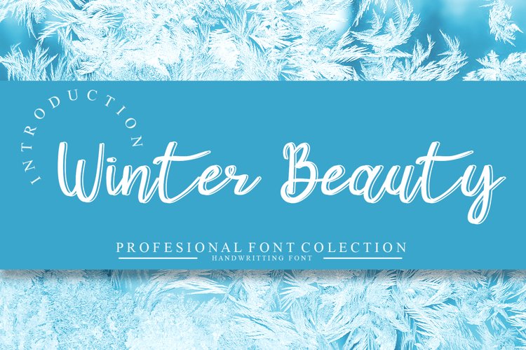 Winter Beauty example image 1