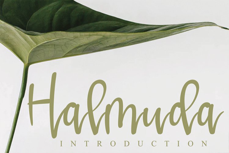 Halmuda example image 1