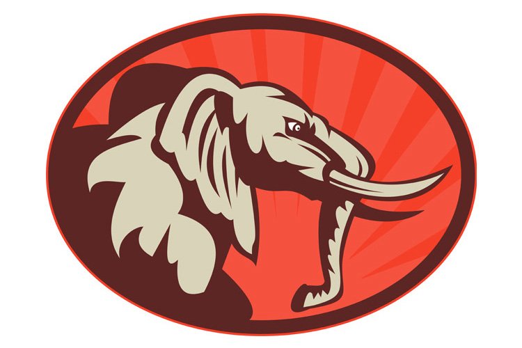 angry african elephant bull side view example image 1