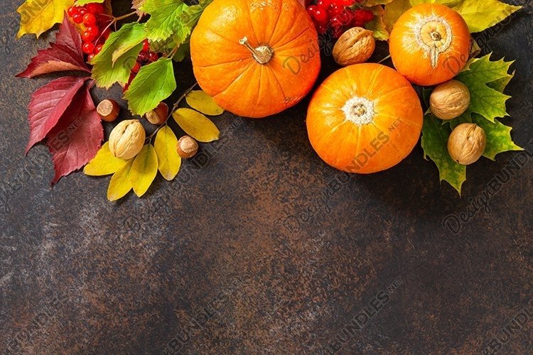 Thanksgiving Clipart Image 7