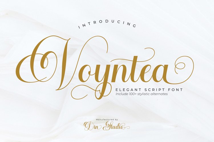 Voyntea-Beautiful Calligraphy Font example image 1