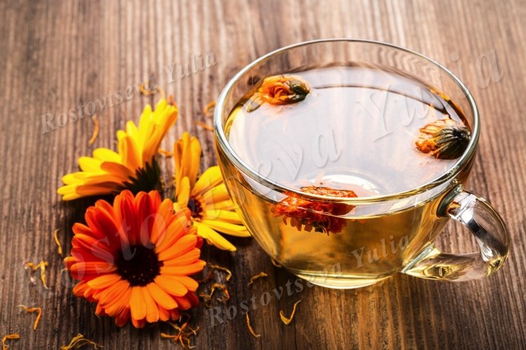 Marigold Clipart Image 16
